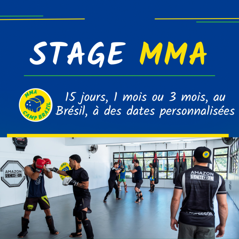 Stage MMA Brésil