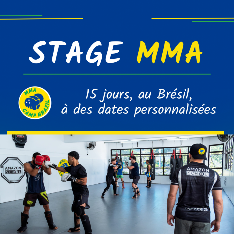 Stage MMA Brésil